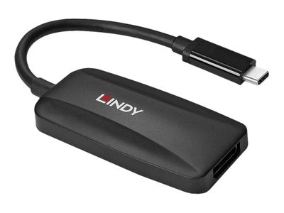 Adap Lindy USB Typ C auf DP 1.4 Konverter_2