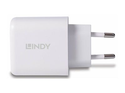 Adap Lindy USB Type A & C Charger_5