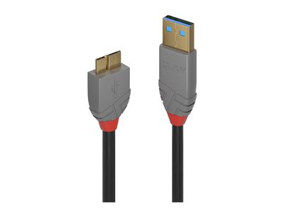 Cable Lindy USB 3.2 Anthra Line 3m_2