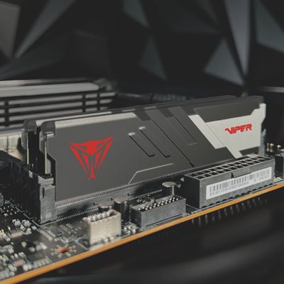 Patriot RAM Viper Venom - 16 GB - DDR5 6000 DIMM CL36_5