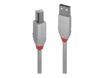 Cable Lindy USB 2.0 to USB-B 3m Grey_2