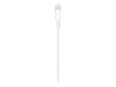 Apple Lightning cable - Lightning / USB - 1 m_2