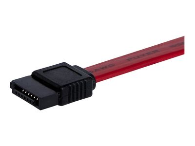 StarTech.com 12in SATA Serial ATA Cable - SATA cable - Serial ATA 150/300 - SATA (F) to SATA (F) - 1 ft - red - SATA12 - SATA cable - 30.5 cm_2