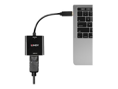 Adap Lindy USB Typ C auf DisplayPort Konverter_2