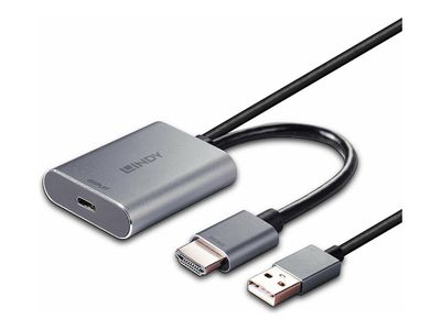 Lindy video converter - USB-C_3