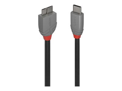 Cable Lindy USB 3.2 Anthra Line 1m_thumb