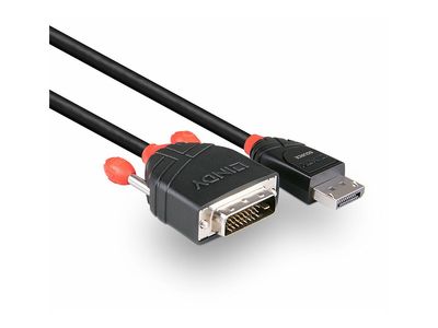 Cable Lindy DisplayPort an DVI Adap  0,5m_3