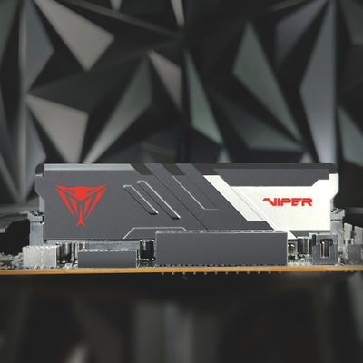 Patriot RAM Viper Venom - 16 GB - DDR5 6000 DIMM CL36_3