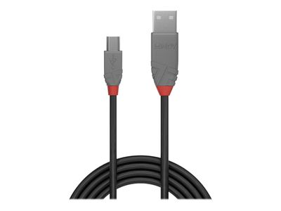 Cable Lindy USB 2.0 to mini USB-B 1m Black_2