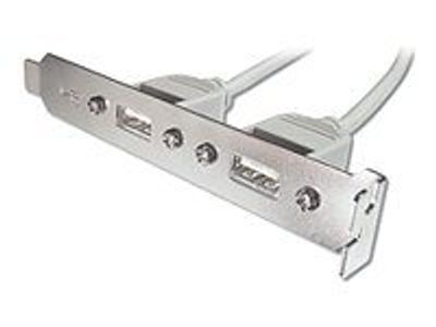 DIGITUS USB-Slotblechkabel - 2x USB Typ-A/2x IDC (5-pin) - 25 cm_thumb