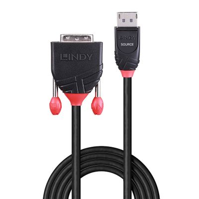 Lindy Video Adapterkabel 41491 - DisplayPort / DVI-D - 2 m_2