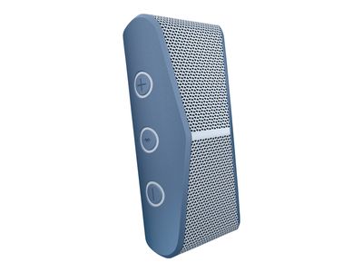 Logitech tragbarer kabelloser Lautsprecher X300_2