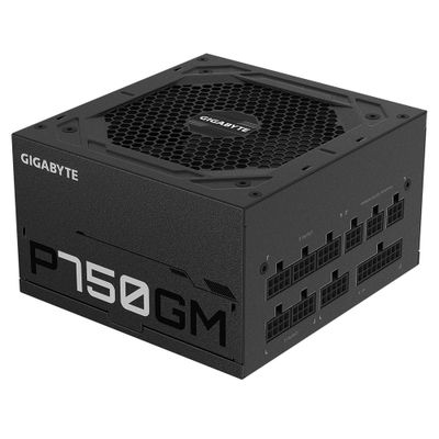 GIGABYTE P750GM Netzteil 750 W 20+4 pin ATX ATX Schwarz_3