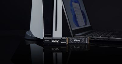 Kingston SSD FURY Renegade - 1000 GB - M.2 2280 - PCIe 4.0 x4 NVMe_6