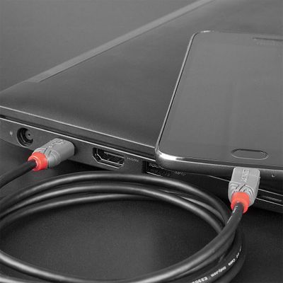 Lindy 36890 USB Kabel USB 2.0 0,5 m USB C Micro-USB B 0,48 Gbit/s Schwarz, Grau_3