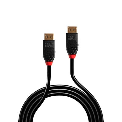 Lindy 41169 DisplayPort-Kabel 10 m Schwarz_2