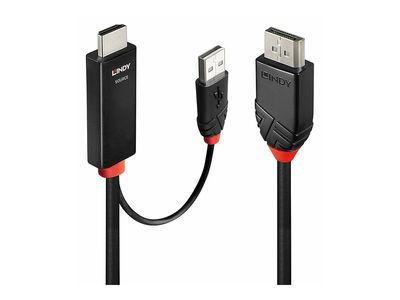 Cable Lindy HDMI an DisplayPort Adap  2m_2