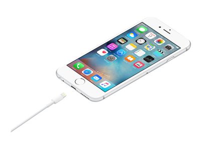 Apple Lightning-Kabel - Lightning / USB - 1 m_4