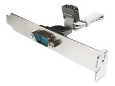 DIGITUS Slotblech Adapterkabel - DSUB (9-pin)/Buchsenleiste (10-pin) - 25 cm_thumb