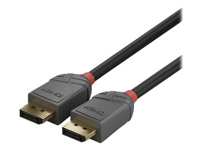 Lindy Anthra Line - DisplayPort-Kabel - DisplayPort zu DisplayPort - 3 m_2