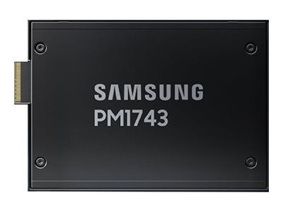 Samsung PM1743 MZ3LO7T6HBLT - SSD - 7.68 TB - PCI Express 5.0 x4 (NVMe)_thumb
