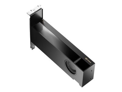 NVIDIA - Grafikkarten - NVIDIA RTX 2000 Ada - 16 GB_thumb
