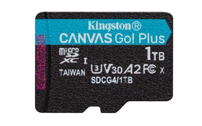 Kingston Flash-Card Canvas Go! Plus - microSDXC UHS-I - 1 TB_thumb