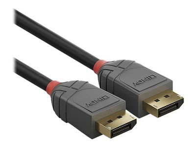 Lindy Anthra Line - DisplayPort-Kabel - DisplayPort zu DisplayPort - 2 m_3