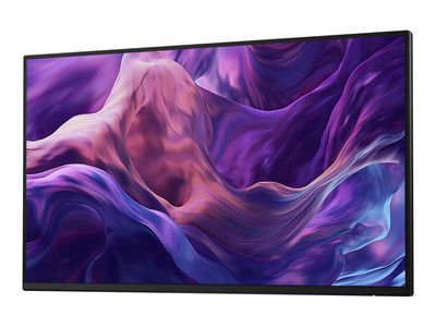 Dell LED-Display P2425HE - 61 cm (24") - 1920 x 1080 Full HD_2