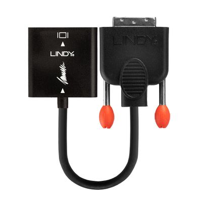 Lindy Video Konverterkabel 38189 - DVI-D / VGA - 20 cm_2