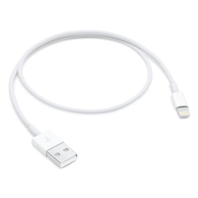 Apple Ladekabel ME291ZM/A - USB-A / Lightning - 0.5 m_thumb