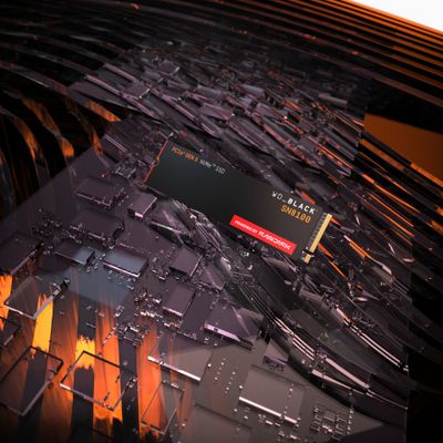 Western Digital Black WD_BLACK™ SN8100 NVMe™ SSD POWERED BY SANDISK 1 TB_10