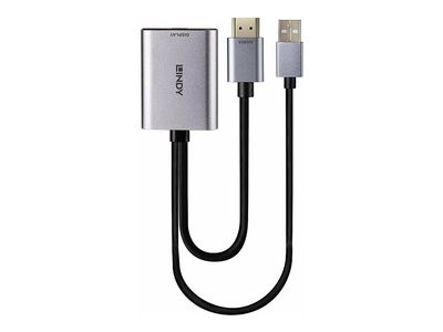 Lindy video converter - USB-C_2