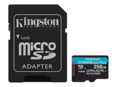 Kingston - Flash-Speicherkarte - 256 GB - microSDXC UHS-I_thumb